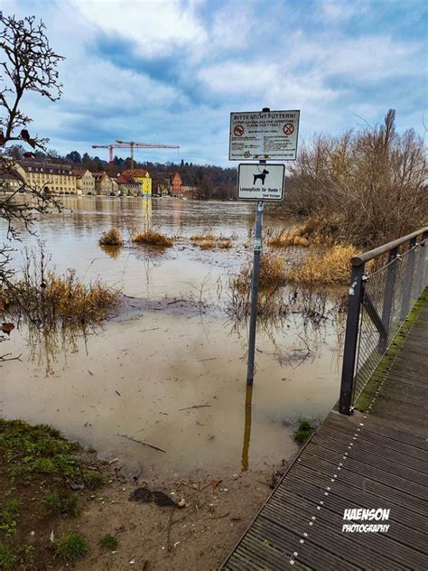 A Weng Naus Hochwasser Am Main Und Dreik Nigstour Auf Dem