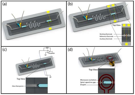 Chemosensors Free Full Text Label Free Sensing In Microdroplet