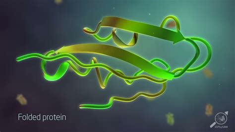 Intrinsically Disordered Proteins Youtube