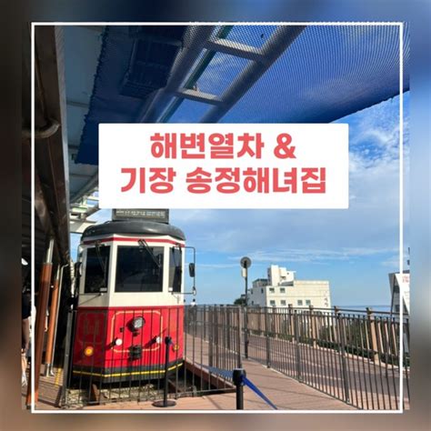 부산 해운대 블루라인파크 해변열차 타고 송정역 송정해수욕장 기장 송정해녀집 해산물 모듬과 해물라면 네이버 블로그