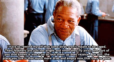 Morgan Freeman Quotes Shawshank Redemption. QuotesGram