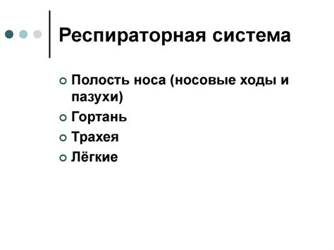Рентгенодиагностика. Респираторная система - презентация онлайн