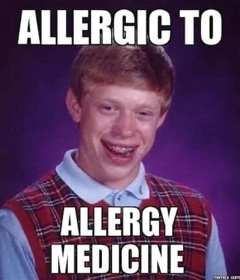 Seasonal Allergy Memes Are Nothing To Sneeze At 25 Memes