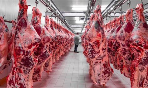 Pakistani Meat Processor Secures Million Contract To Export Frozen