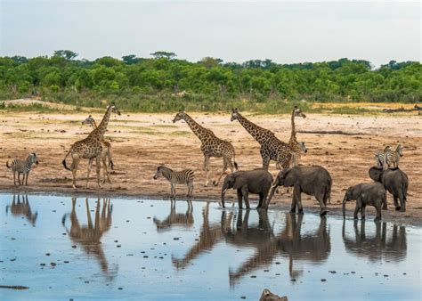 Darwendale Recreational Park Zimbabwe A World Of Wonders