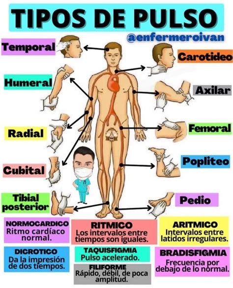 Tipos De Pulso Abreviaturas De Enfermeria Diagnosticos De Enfermeria Tecnico Auxiliar De