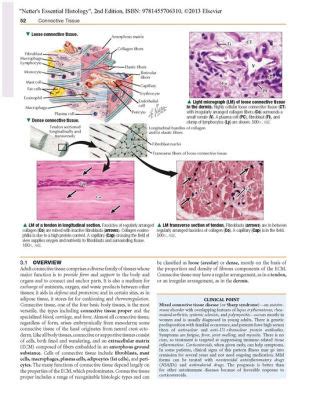 Netter S Essential Histology With Student Consult Access Edition