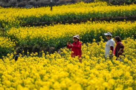 【双语财讯】九成受访者出游意愿强烈 疗愈游迎来商机 中国日报网