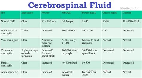 Cerebrospinal Fluid Csf Significance Function Collection Patient