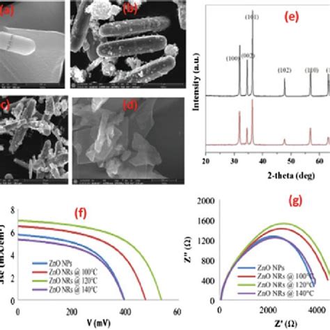 A Morphology Of Zno Nps Using Sem B Growth Of Zno Nrs At C C Zno