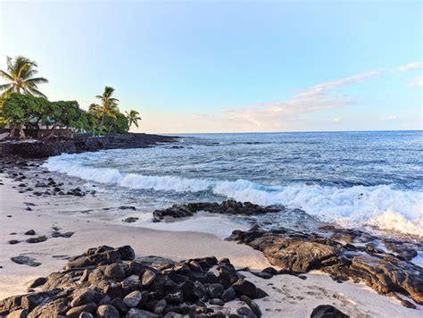 Snorkeling With Manta Rays On The Kona Coast Of The Big Island Of