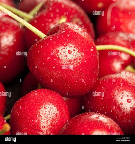 Macro Cherries Stock Photo Alamy