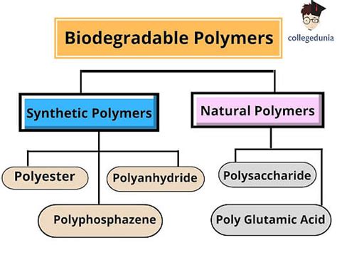 Biodegradable and Non-biodegradable Polymers