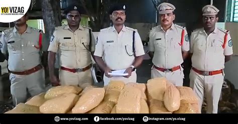 Arrested Gm Of Ganja Seized In Drug Smuggling Case Vizag