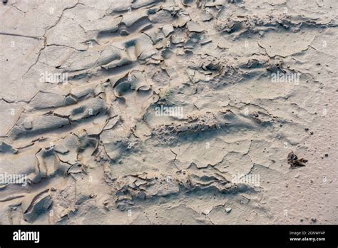 Dried Mud Pattern With Recent Tyre Tracks Stock Photo Alamy