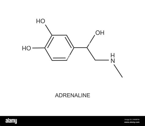 Adrenaline Icon Epinephrine Hormone Produced By The Adrenal Gland