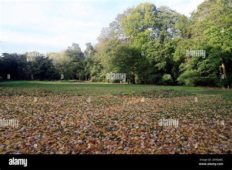 Heath Park Autumn Trees And Foliage And Fallen Leaves Cardiff