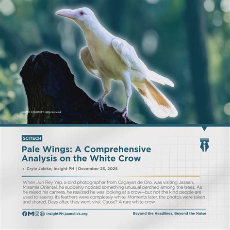 Insight - SCITECH | Pale Wings: A Comprehensive Analysis on the White