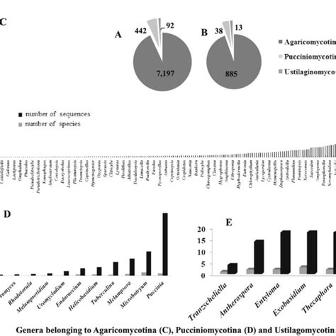 Pie Charts Represent Abundance Number Of Sequences A And Species Download Scientific