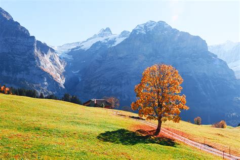 Picturesque autumn landscape in Grindelwald village | The Swiss Quality ...