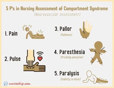 5 Stages Of Bone Healing Process Fracture Classification 5 Ps