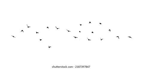 Flock Flying Birds Free Birds Vector Stock Vector Royalty Free