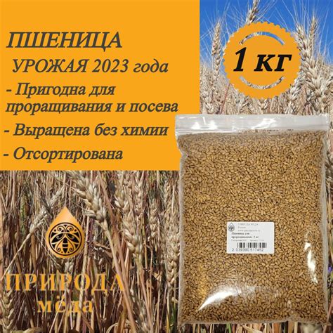 Пшеница для проращивания, 1 кг - купить с доставкой по выгодным ценам в ...