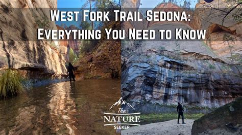 How To Get The Most Out Of The West Fork Trail In Sedona