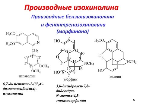 Алкалоиды - online presentation