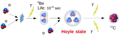 Hoyle State Gaslike Structure In The Nucleus 東北大学大学院 理学研究科物理学専攻 東北大学