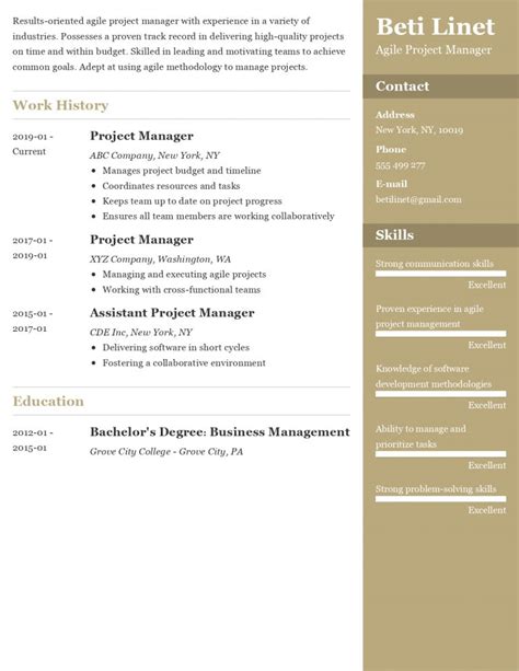 Agile Project Manager Resume Examples