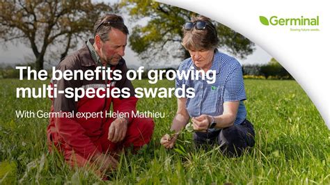 The Benefits Of Multi Species Swards Herbal Leys YouTube