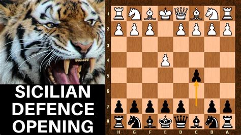 Best Chess Opening For Black Sicilian Defense Basic Strategy Moves