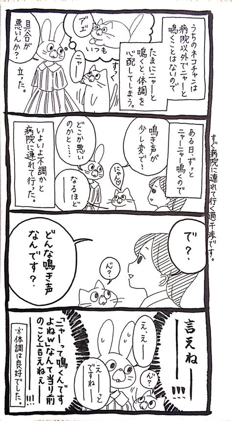 「ニャーって鳴いた 」うさぎのみみちゃんの漫画