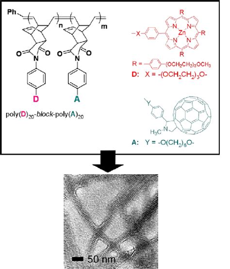 Formation Of Domain Segregated Self Assembled Nanowires With Tailorable