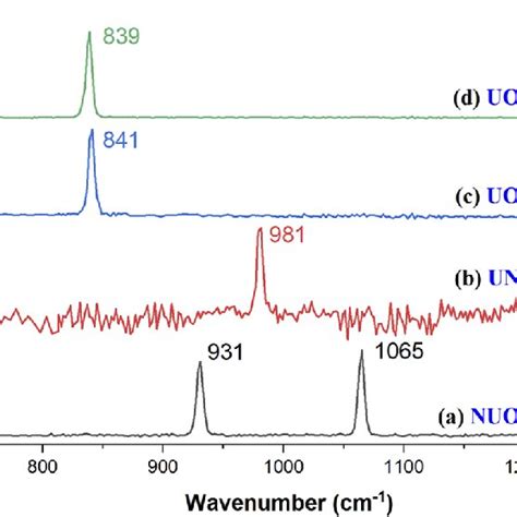 Infrared Photodissociation Spectra In The 750 1250 Cm 1 Region A