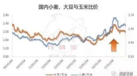 「獨家」2018全年玉米價格走勢預測！ 每日頭條