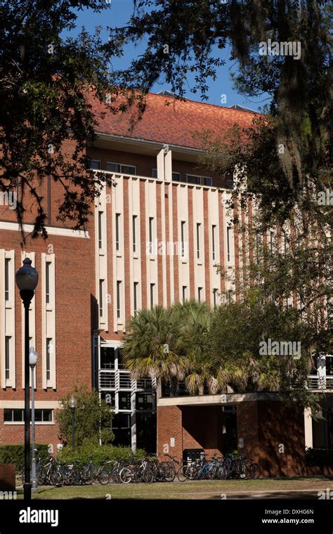 University Of Florida Gainesville Fl Usa Stock Photo Alamy