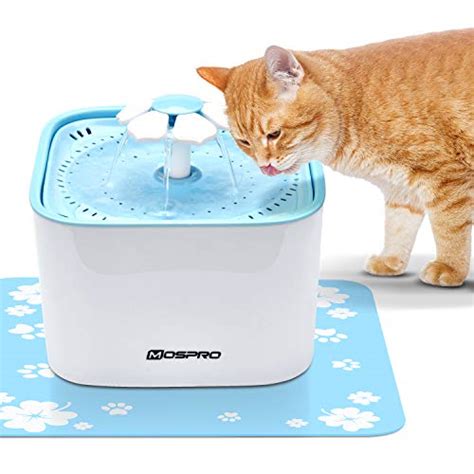 10 Best Cat Water Fountains Of 2022 Cats Fountains