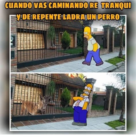 Me Gusta Comentarios Memes Springfield Memes Springfield En