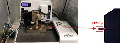 Bruker Dimension Icon Afm Download Scientific Diagram