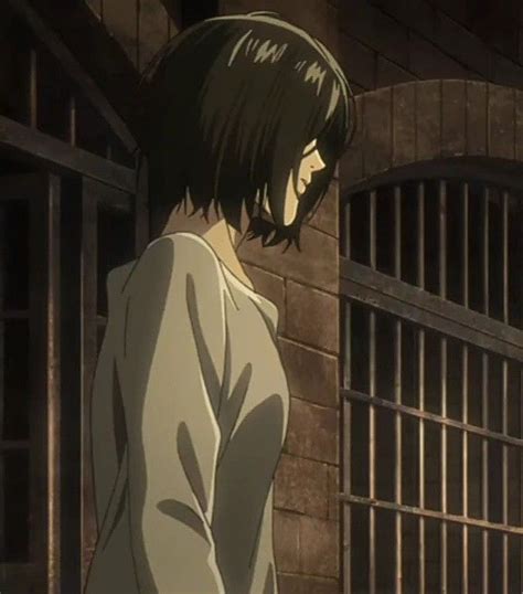 Pin De Night Veiling Em El Ataque A Los Titanes Mikasa Anime