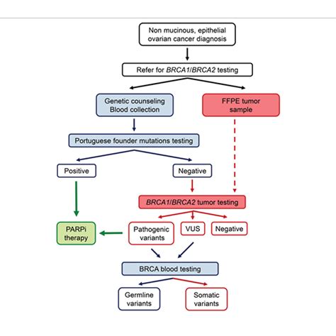 Brca Brca Mutation Drug Profiling Panel Test In Delhi India Gdic