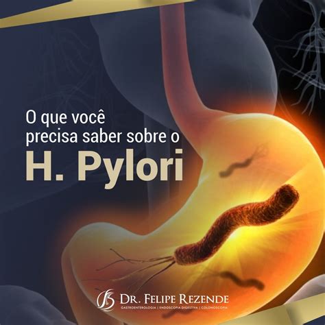 Dr Felipe Rezende Blog O Que Voc Precisa Saber Sobre O H Pylori