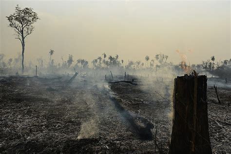 The Amazon Rainforest Is Still On Fire