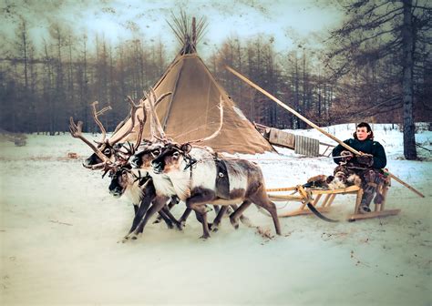 Visiting The Reindeer Herders Of Siberia Mattconti