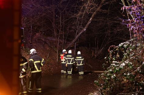 Wuppertal Baum F Llt Auf Hintersudberger Stra E