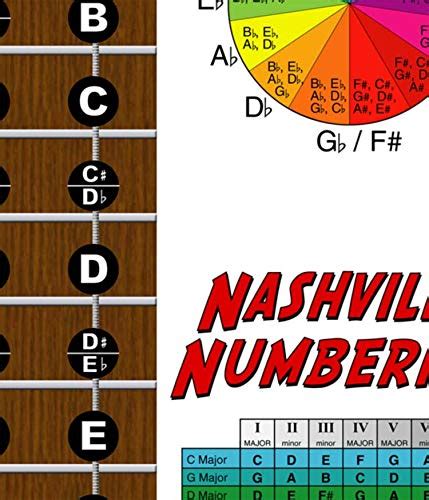 Buy 4 String Bass Instructional Fretboard Notes Poster Nashville