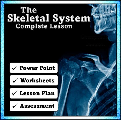 Skeletal System Complete Lesson Skeletal System Lessons Human Body