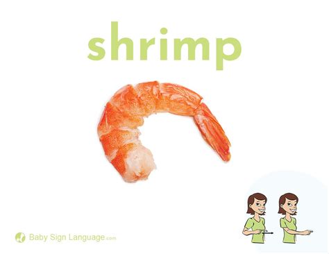 Shrimp